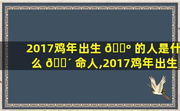 2017鸡年出生 🐺 的人是什么 🐴 命人,2017鸡年出生的人是什么命人呢